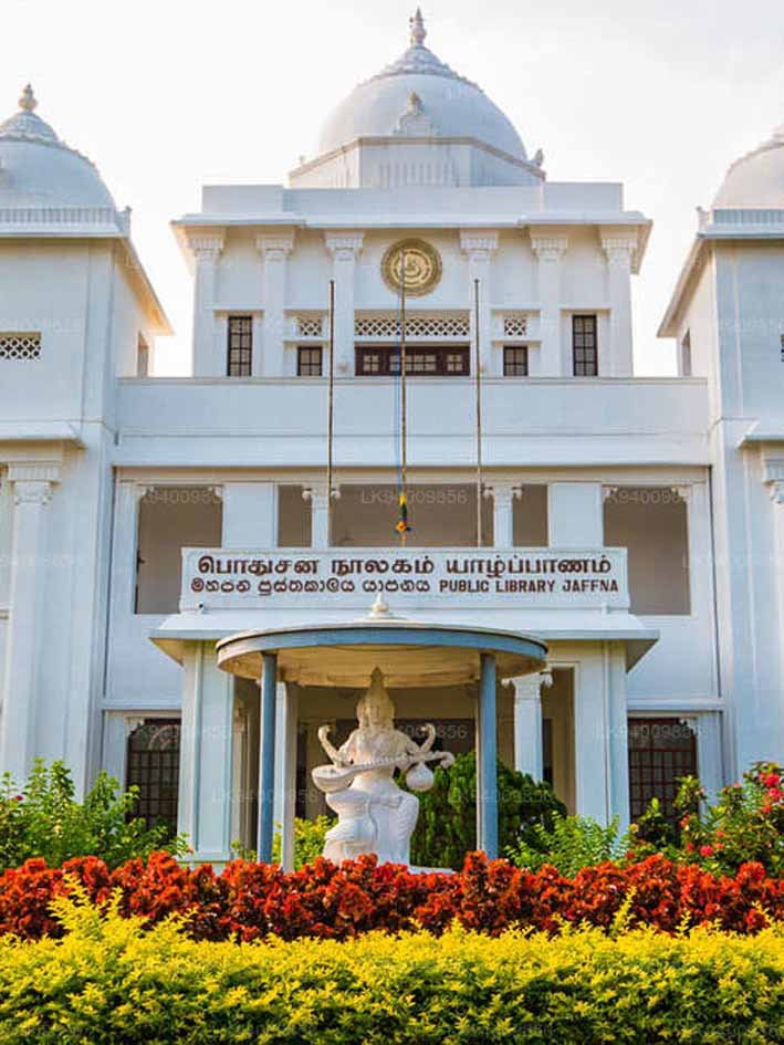 jaffna library